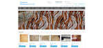 build professional ecommerce website