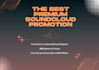 offer soundcloud promotion through reposts