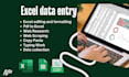 do excel data entry, web research, copy paste