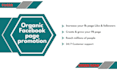 organic facebook page promotion