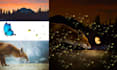 do photo manipulation photoshop editing and image retouching