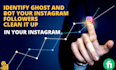 identify ghost and bot your instagram followers clean it up