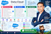 be your expert salesforce data cloud consultant