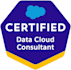be your expert salesforce data cloud consultant