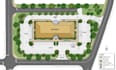 create a professional 2d site plan color rendering