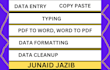 do professionally ms word formatting and data entry work