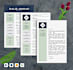 write tech resume, professional resume and cover letter