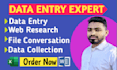 do any type of data entry and copy paste work