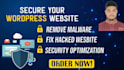 do wordpress malware removal and also clean virus , malware