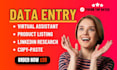 be your virtual assistant for accurate data entry, web research, and admin tasks
