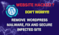 remove wordpress malware, fix and secure infected site