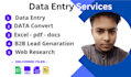 do fast excel data entry, copy paste, virtual assistant, and lead generation