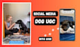 create user generated content with my dog USA
