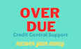 provide credit control support recover over due receivables