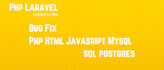 write a php laravel web projects and fix issues