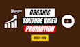 boost your video through organic youtube promotion