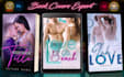 design a professional sexy erotic book cover