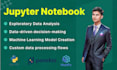 create a professional jupyter notebook using python