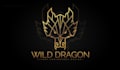 design professional custom logo design unique high quality