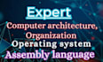 do operating system, computer architecture, mips, risc v, xv6 and cpp projects
