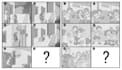 draw black and white cartoon, line and comic story board illustrations