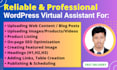 do blog posting, content upload as virtual assistant or wordpress va