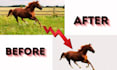 ultra fast remove background and deliver transparent png
