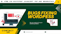bug fixing expert for wordpress HTML, CSS, javascript, and PHP