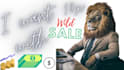 be your digital and social media ads campaign pilot
