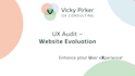 provide an expert UX audit for your website