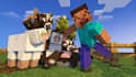 do a professional level minecraft animation