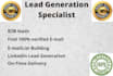 virtual assistant, lead generation, data mining