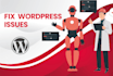 professionally fix and debug wordpress issues and bugs