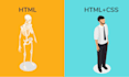 help out with HTML and CSS website customization