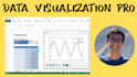 do data analysis and visualization using excel, python and rstudio