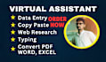 be your virtual assistant for data entry, copy paste, convert pdf, word, excel