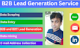do b2b lead generation, data scraping and data mining