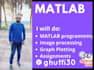 do matlab programming simulation and gui tasks
