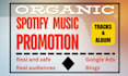 do spotify music promotion by run ads
