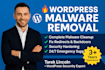 fix hacked wordpress site and remove malware in 24 hours guaranteed