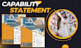 create a professional capability statement within 6 hour