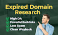 do high authority expired domain name research