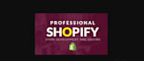 set up shopify store