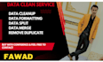 do advanced excel data cleaning b, merge, formating and data cleanup