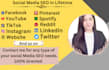 do social media management promotion of your account