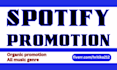 do spotify music promotion by creating and running ads