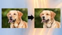 make your face or any image into ai art