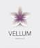 professionally format any nonfiction using vellum software