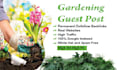 do guest post home garden, do follow back links with high da