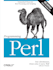 perl web and script development